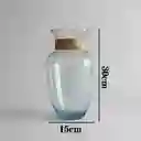 Florero Jarrón De Vidrio (adz)