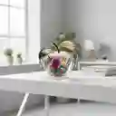 Manzana Dorada En Acrílico