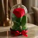 Rosa Roja Artificial Decorativa En Cúpula Acrílica