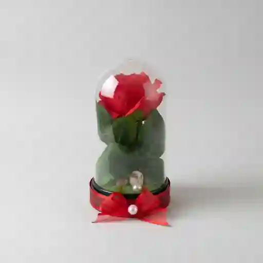 Rosa Roja Artificial Decorativa En Cúpula Acrílica