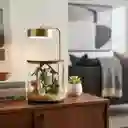 Pesebre Navidad Nacimiento Tipo Terrario