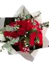 Bouquet De 24 Rosas