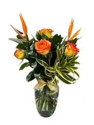 Flores Jarrón Rosas Y Aves Del Paraíso