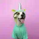 Disfraz 3xl Unicornio Cuerno Liso (tutú Opcional)