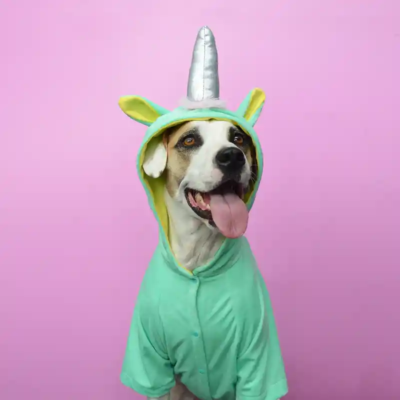 Disfraz 3xl Unicornio Cuerno Liso (tutú Opcional)