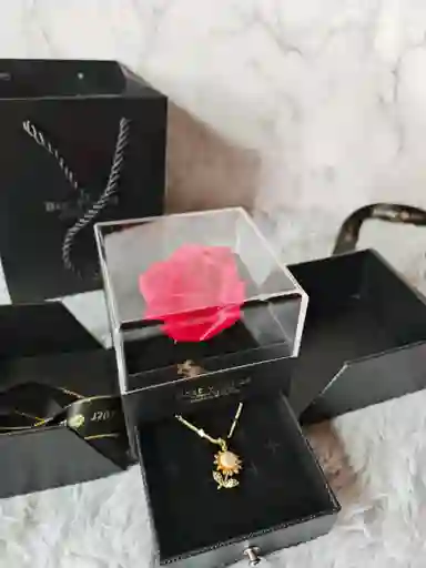 Baul De Rosa Con Accesorio Incluido