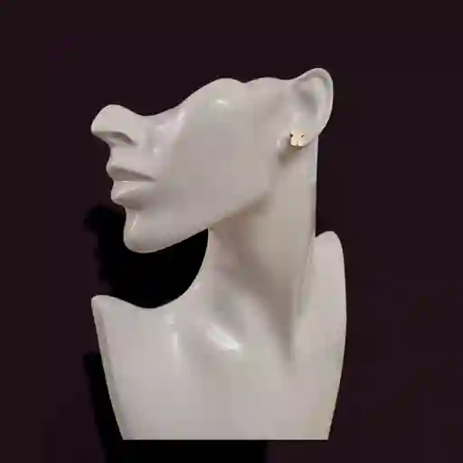 Aretes Acero Inoxidable Osos Dobles Plateados Garantia Original + Bolsita De Lujo