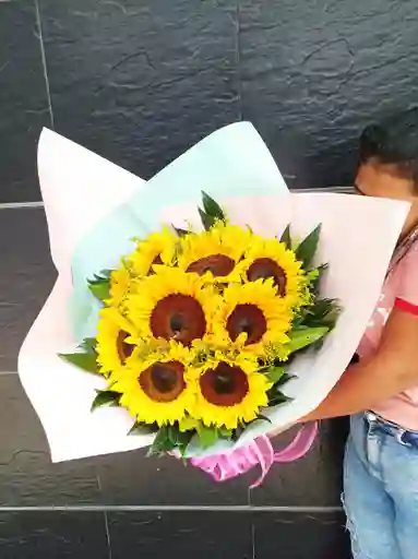 Girasoles