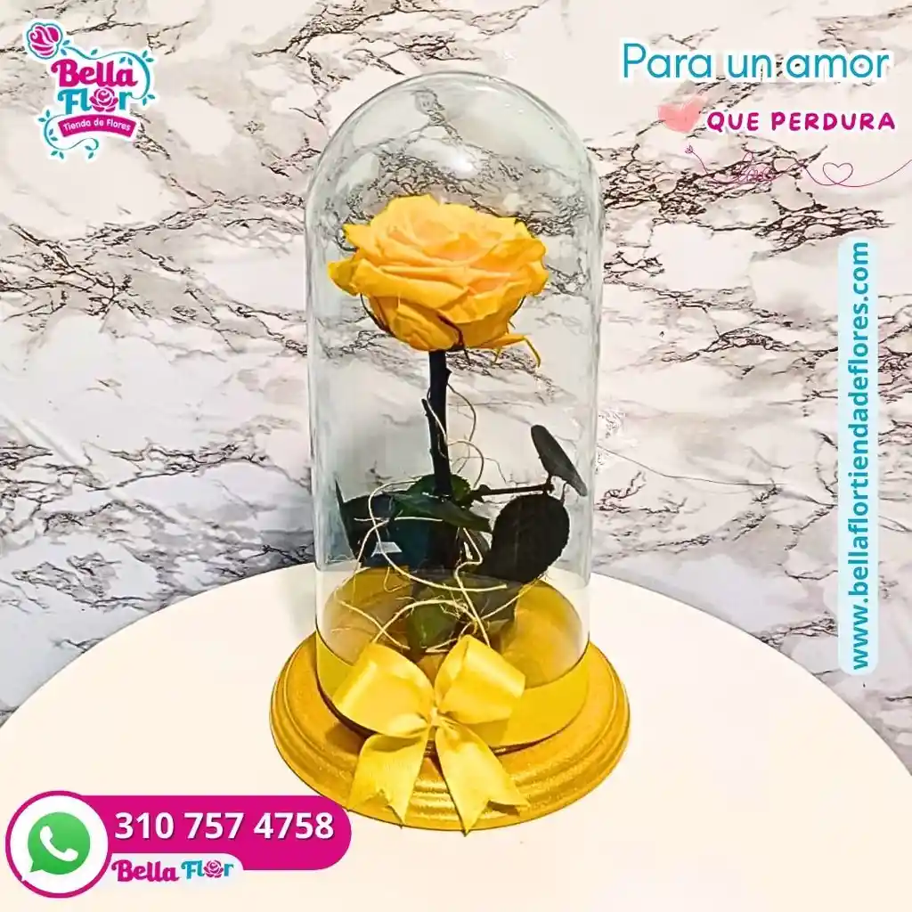Rosa Preservada