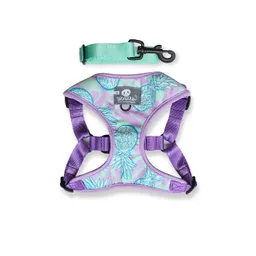 Pechera M Piñas Lila Y Menta