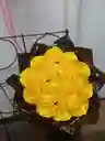 Rosas Eternas