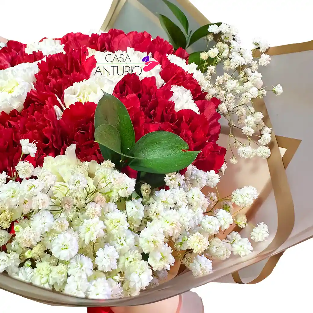 Bouquet De Claveles