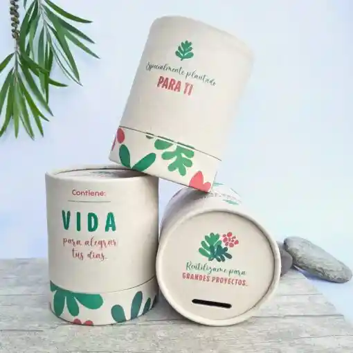 Regalo De Vida En Vela🕯️- Vainilla
