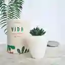 Regalo De Vida En Vela🕯️- Vainilla