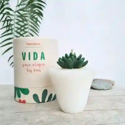 Regalo De Vida En Vela🕯️- Vainilla