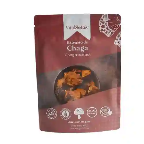 Extracto De Chaga Vitalsetas