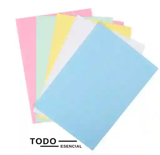 Cartulina Colores Surtidos 1/8 Octavo Bristol X 10 Hojas