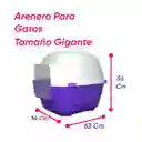 Baño Para Gatos Gigante Mas 6 Kg Arena Verde