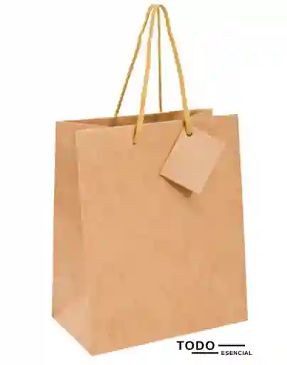 Bolsa De Papel Cargadera Para Regalo 26 X 39 Cm
