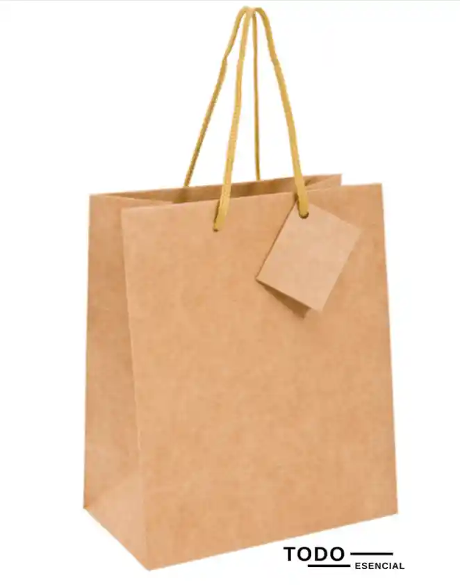 Bolsa De Papel Cargadera Para Regalo 26 X 39 Cm