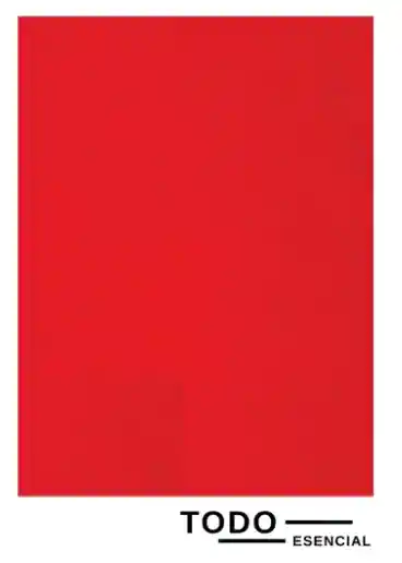 Foami Rojo Medio Pliego