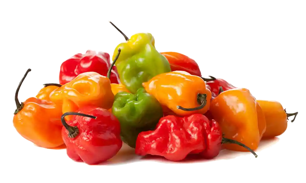 Aji Abanero 500 Gr