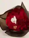 Rosas Rojas En Bouquet X 24 Y 1 Orquídea Amor Y Amistad