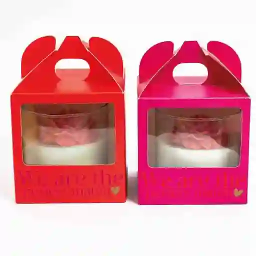 Caja Maletín Amor Y Amistad 12x10.5x12.5 Cms