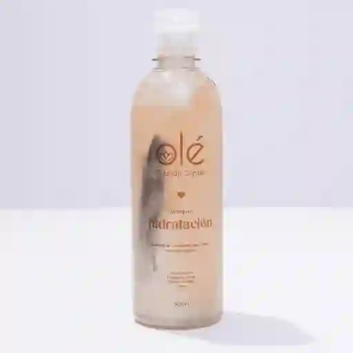 Shampoo Hidratación Coco, Canela & Miel. 500 Ml