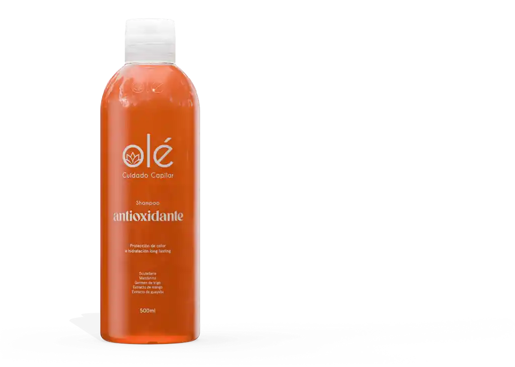 Shampoo Antioxidante Mix De Frutas. 500 Ml