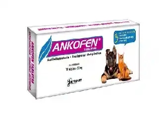 Ankofen Tabletas Blister X 10
