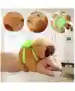 Pulsera De Peluche Capibara Con Mochila Tortuga