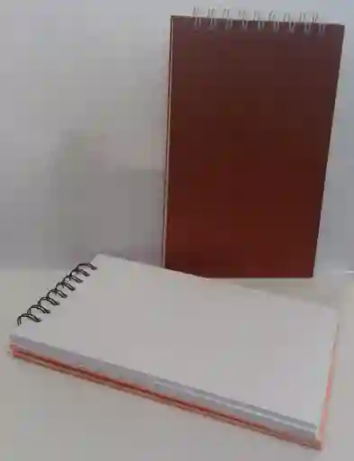 Bitacora Media Carta Especial X 50 Hojas