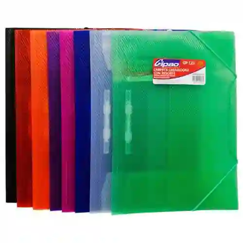 Carpeta De Seguridad Plastica Con Resorte