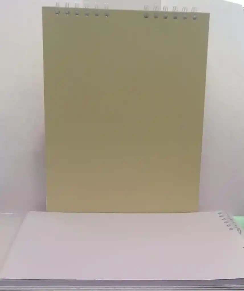 Bitacora Opalina Carta X 50 Hojas