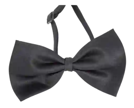 Corbata Corbatin Negro Fiestas Ajustable