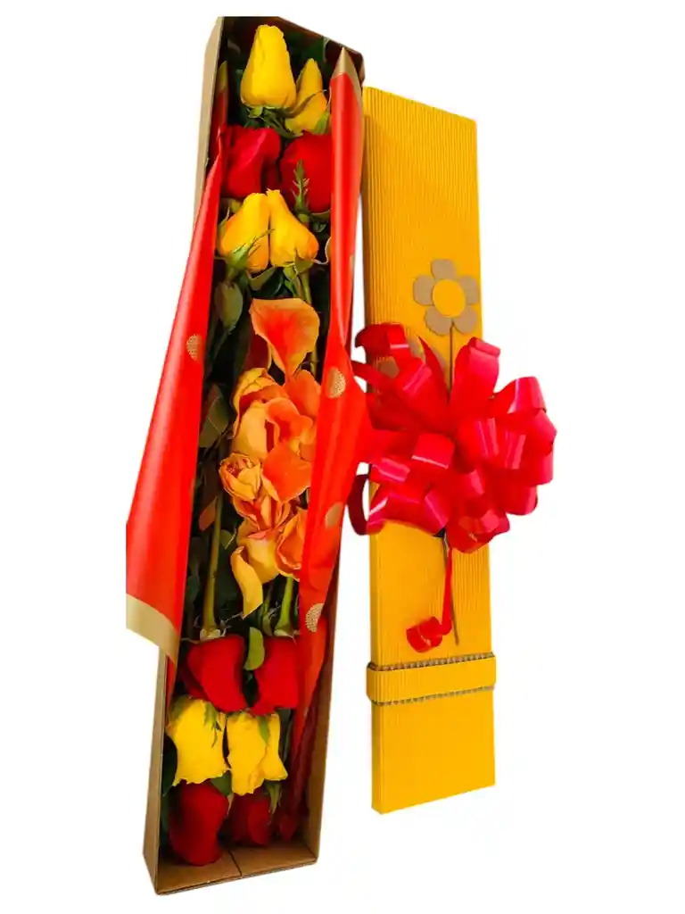 Sorpresa - Caja 12 Rosas Rojas Y Amarillas