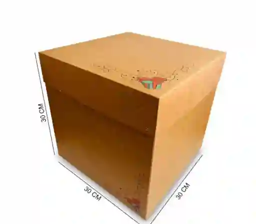 Caja Carton Crudo 30 X 30 X 30cm
