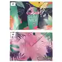 Carpeta Resorte Fuelle De Carton - Femenino