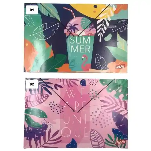 Carpeta Resorte Fuelle De Carton - Femenino