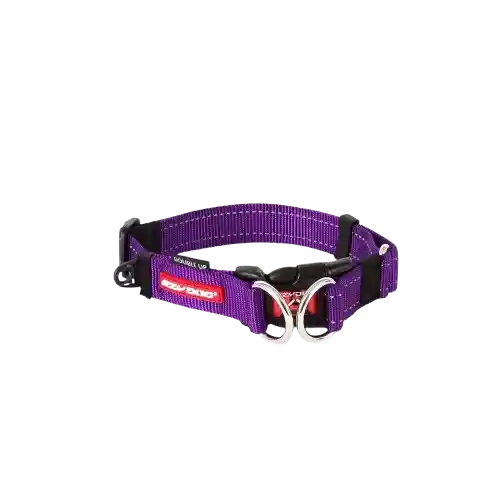 Collar Para Perros Double Up Morado Ezydog