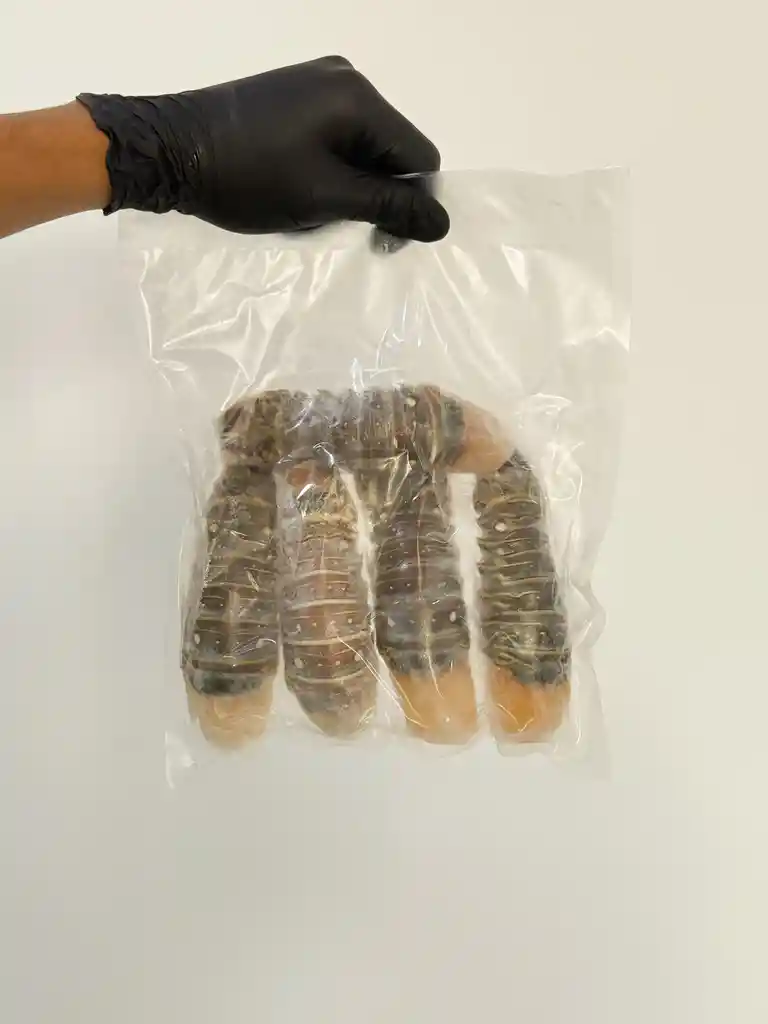 Cola De Langosta Mediana