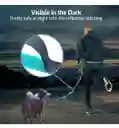 Trailla Para Perros Manos Libres Trailla Para Mascotas 160 Cm A 2 Mts