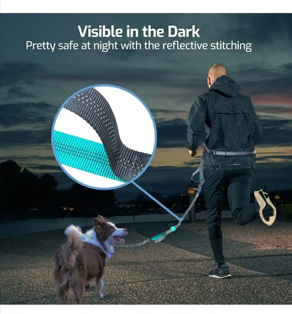 Trailla Para Perros Manos Libres Trailla Para Mascotas 160 Cm A 2 Mts
