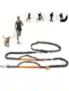 Trailla Para Perros Manos Libres Trailla Para Mascotas 160 Cm A 2 Mts