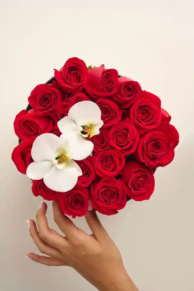 Tambor De Rosas Y Orquídea. Rosas Amor Y Amistad. Cilindro Elegante