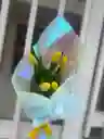 Flores Amarillas Tulipán X 5 Und