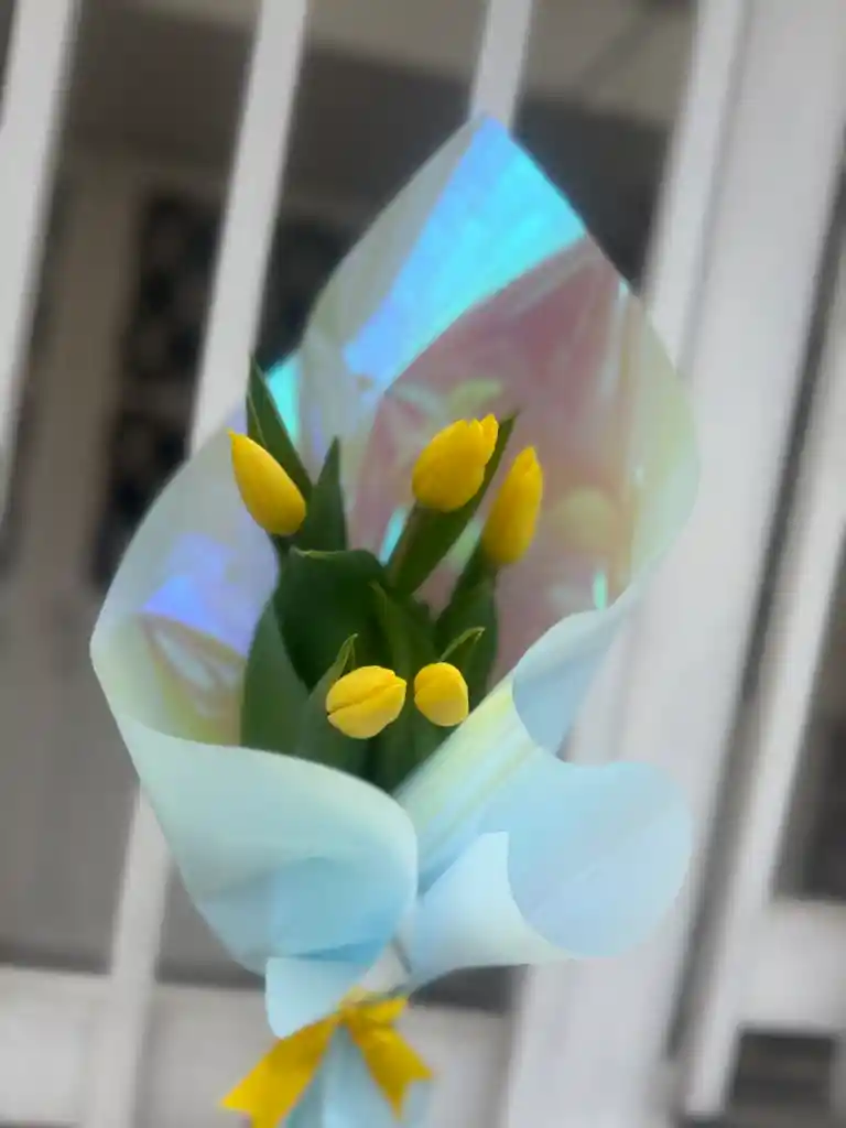 Flores Amarillas Tulipán X 5 Und