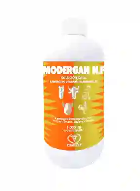 Modergan Nf Oral X 100 Ml