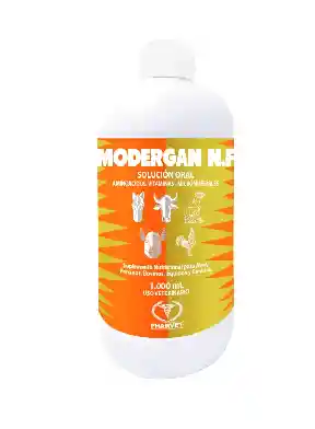 Modergan Nf Oral X 100 Ml